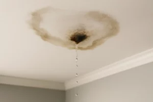 Interior ceiling with a large water stain and droplets actively leaking, showing signs of a severe roof leak