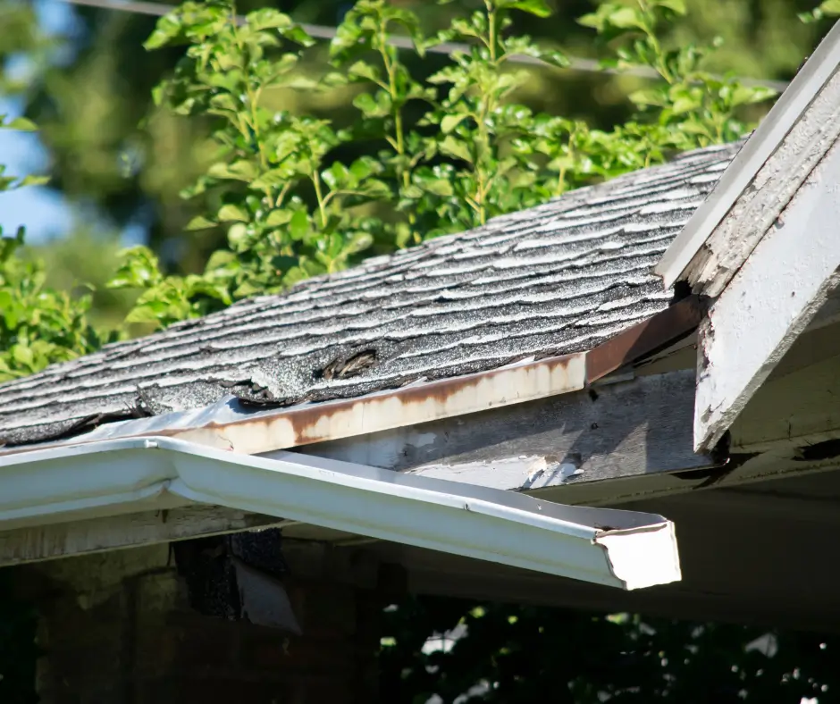 Roof Maintenance Challenges
