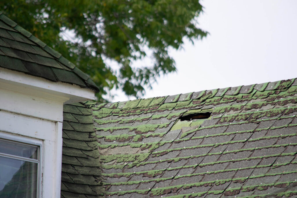 Roof Leak Detection