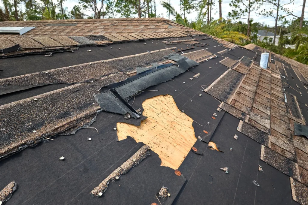water leak roof repair in San Diego County