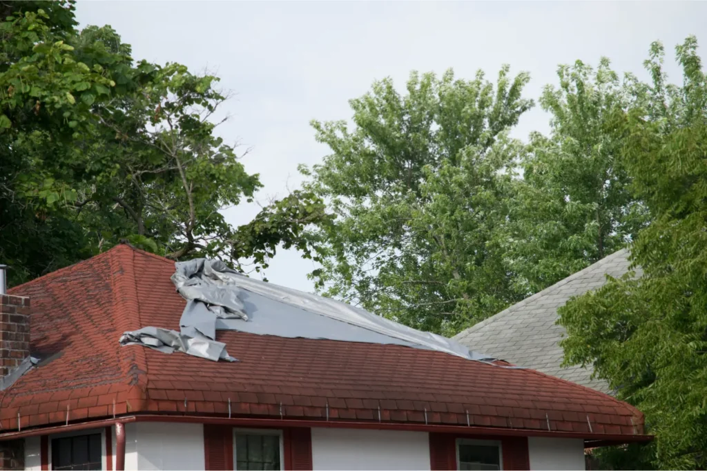 Roof Tarping Services in San Diego