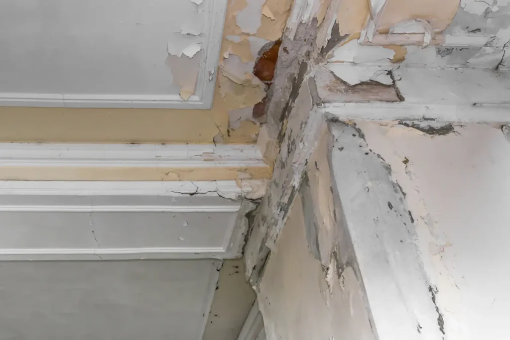 Stucco Water Damage Repair in San Diego