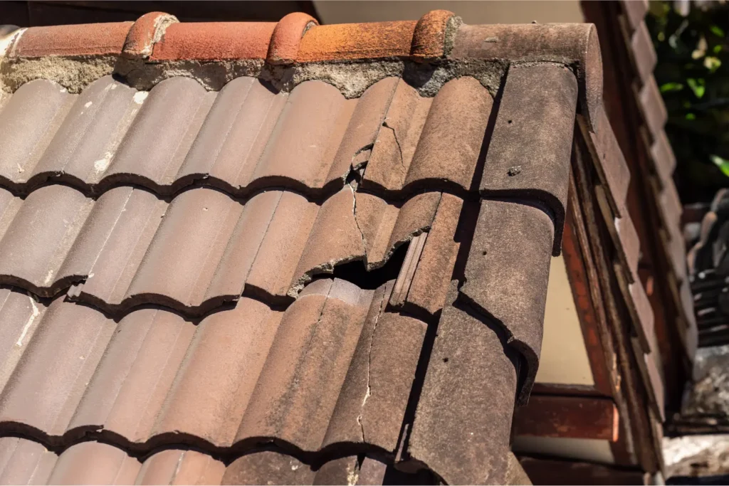 Roof Maintenance Services in San Diego
